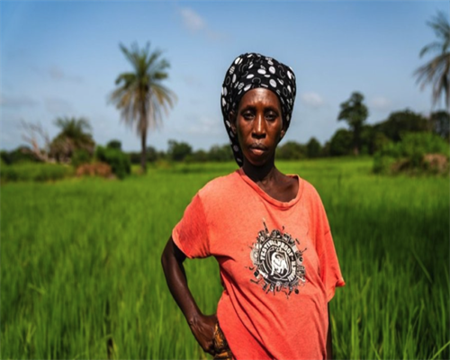 【推荐】探索Tannoy Legacy Arden音箱：音乐的传承与现代技术的融合