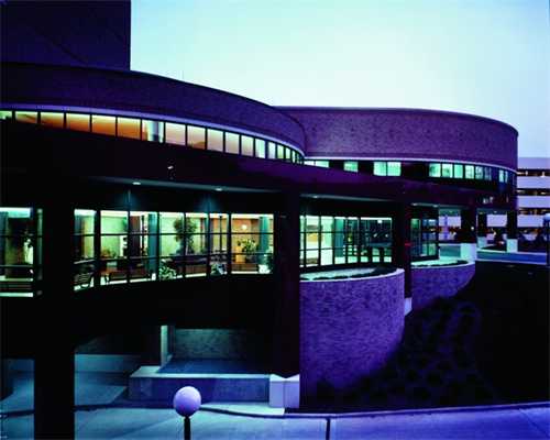 日系无硅洗发水大测评