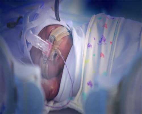 过年必买的5款年货清单，窗花贴纸不能少，挂上中国结更喜庆