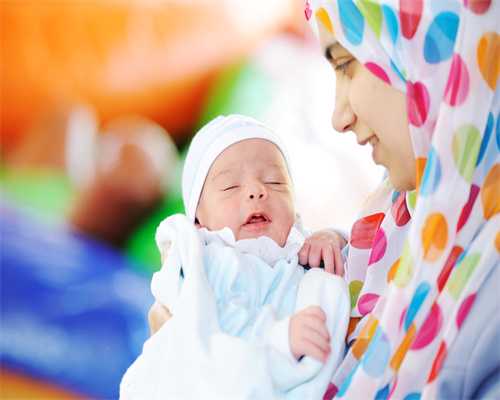 安酷杜鹃系列该怎么养护？这篇文章告诉你